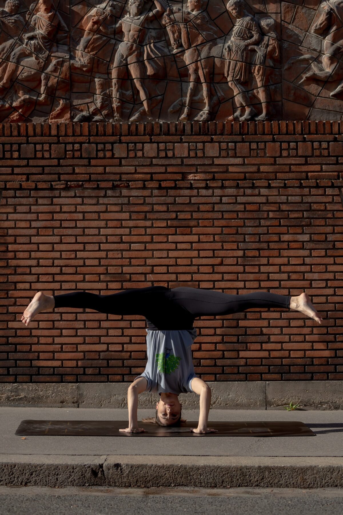 T-shirt gris paon pincha pose