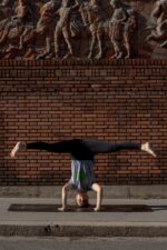 T-shirt gris paon pincha pose