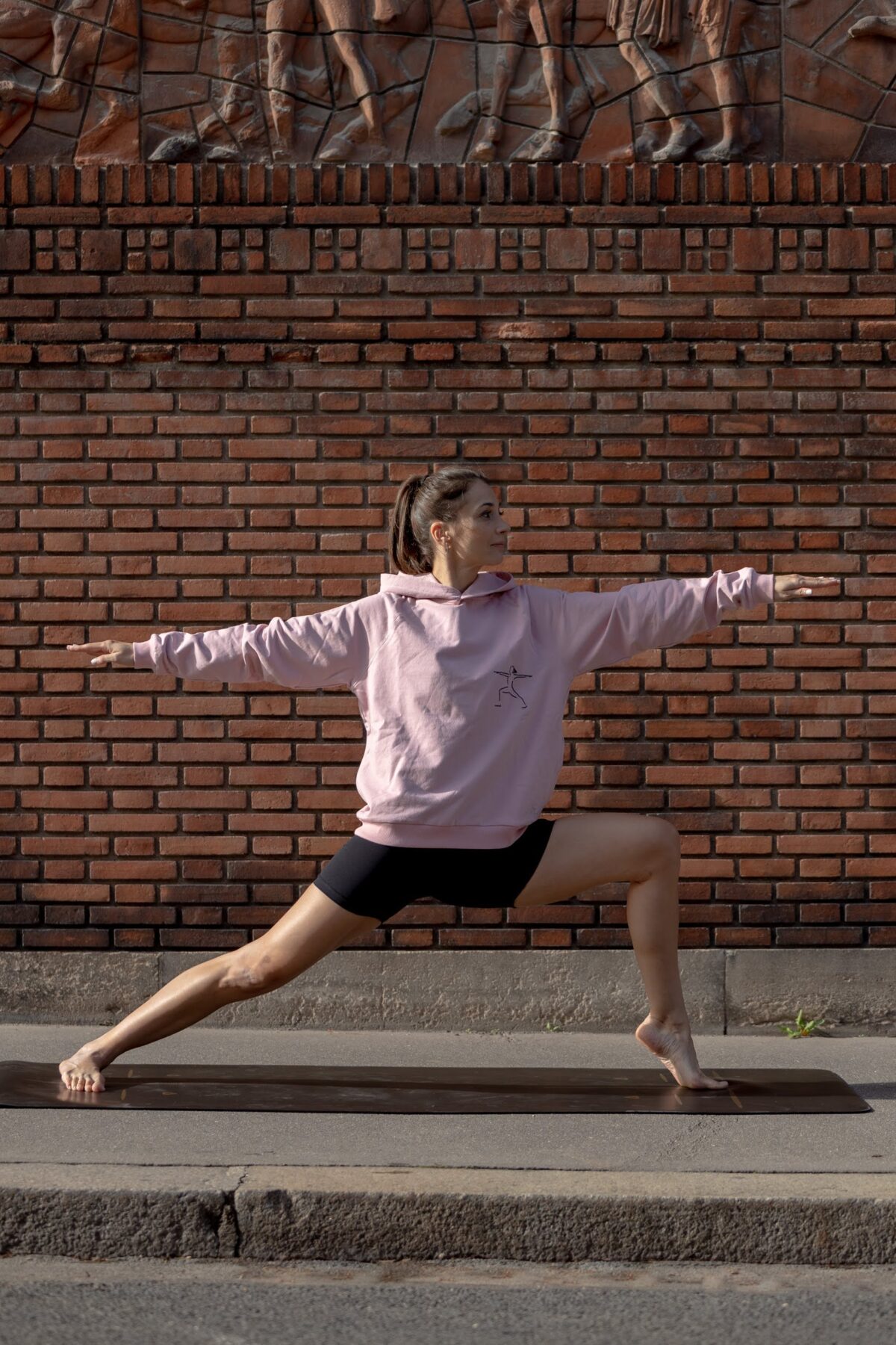 Sweat capuche rose poudré guerrier 2 warrior